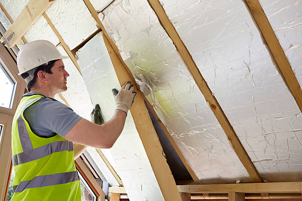 Best Cellulose Insulation in Rkville, PA
