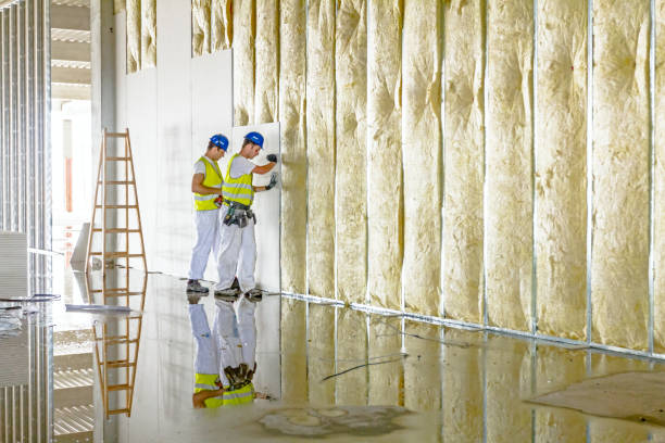 Types of Insulation We Offer in Parkville, PA